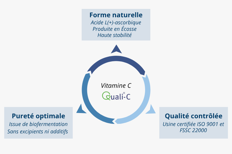 Synergie avec la vitamine C pour un métabolisme énergétique optimal